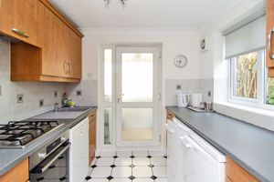 Photo 11- click for photo gallery